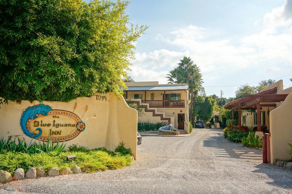 Blue Iguana Inn 오하이 외부 사진